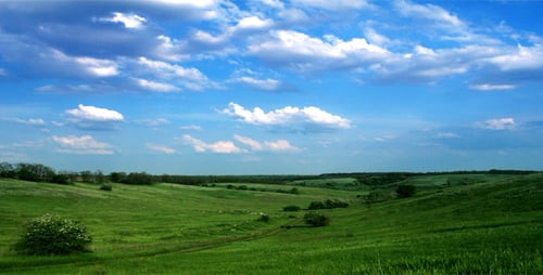 Summer Landscape