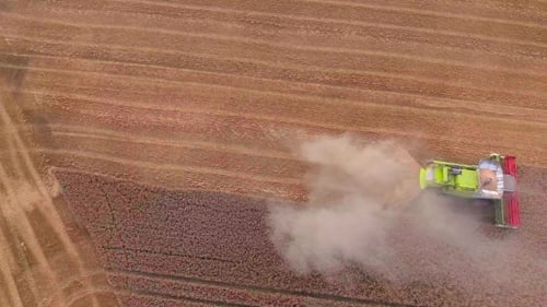 Combine Harvester Harvesting Crops in Field From Above