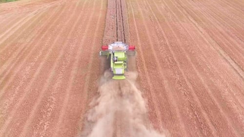 Combine Harvester Harvesting Wheat in Field