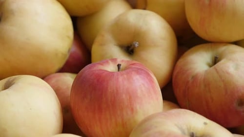 Imágenes UHD de 4K 2160p con inclinación lenta de manzanas frescas orgánicas sobre una pila - Fondo hecho de cúpula de pumila de Malus