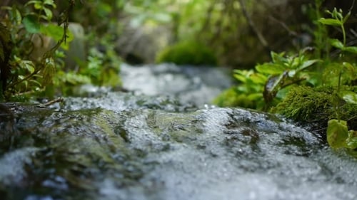Bach fließt im Wald