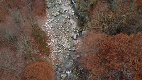 Autumn River Mountain Aerial View