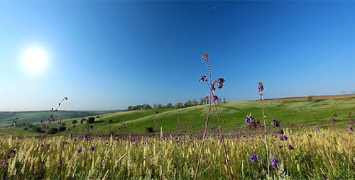 Spring Landscape