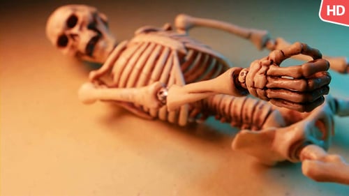 Human Skeleton 0179