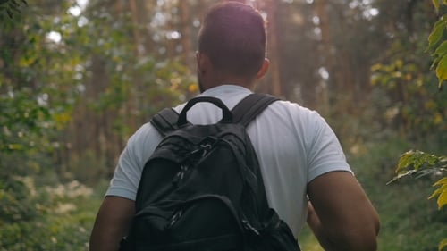 Tourist Enjoying Fresh Air While Resting After Strolling In Forest In Sunny Autumn Day, Male In