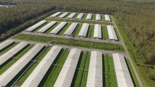 Vue Aérienne Du Poulailler Industriel dans la forêt