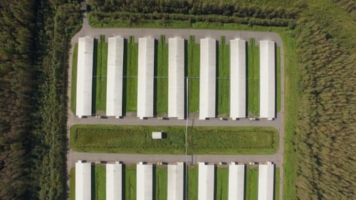 Aerial View Of Industrial Chicken House in the forest