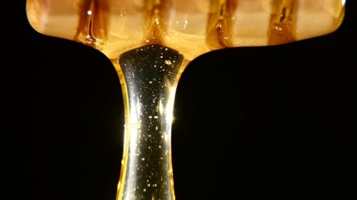Honey Dripping and Flowing Down, One Drop, on Black,