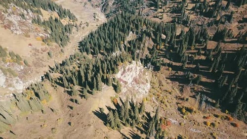Rocky terrain, Coniferous trees grow on the hills, Autumn landscape, Green spruce, yellow-red bushes