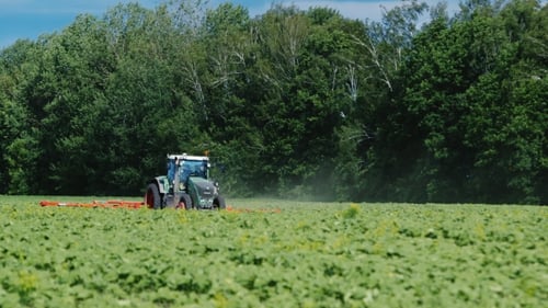 Tractor Pulls On The Field, Agricultural Mechanism For Weeding Plants. On a Clear Sunny Day On a