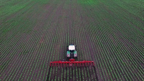 Tractor Pulls On The Field, Agricultural Mechanism For Weeding Plants. Side View