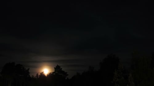 Night Moon Rising On The Horizon Over The Trees And Clouds.