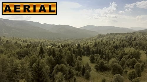 Mountains Covered By Green Pine Forests