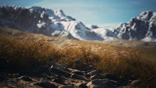 Dry Grass and Snow Covered Mountains in Alaska