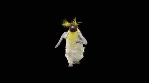 Penguin Dancing HD