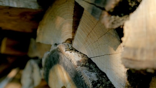 Stacked Chopped Firewood