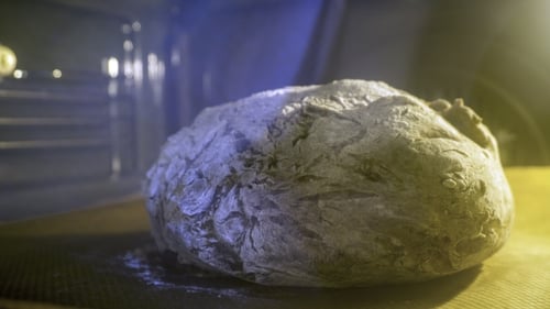 Bread Dough Proofing in Oven Close Up