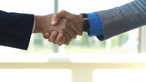 Successful Business Handshake in an Office Setting