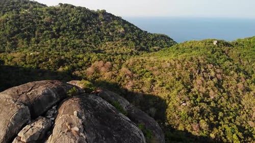 Dschungel und Berge der tropischen Insel. Drohnenblick auf grüne Dschungel und riesige Felsbrocken