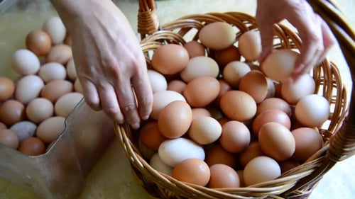 Woman Adds Eggs In Wicker Basket