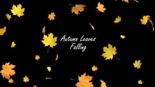 Autumn Leaves Falling
