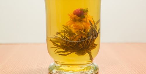 Blooming Tea Brewing in a Clear Glass