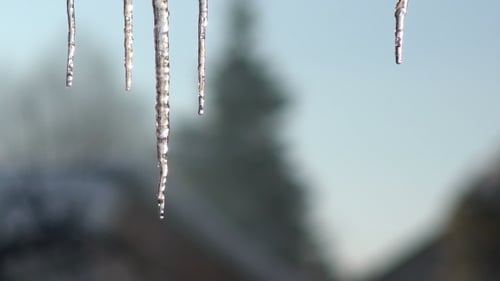 Icicle Hanging From the Roof. Dripping Icicles.