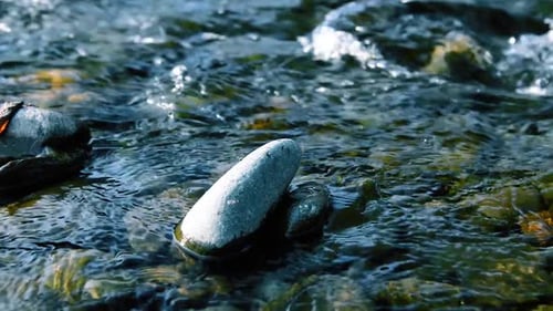 Dolly Slider Shot of the Splashing Water in a Mountain River Near Forest. Wet Rocks and Sun Rays