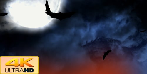 Flying Bats and Full Moon Silhouettes for Halloween Night