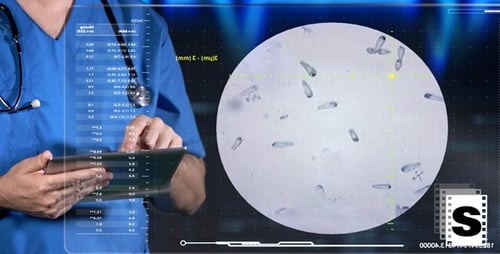Virus Classification