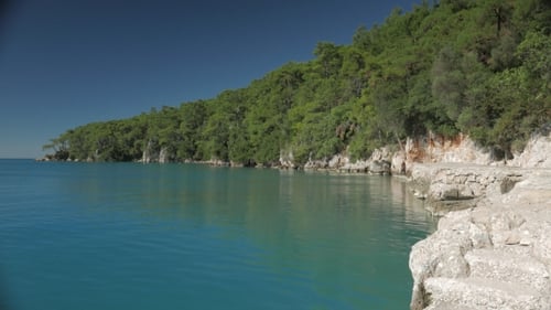 Turquoise Ocean Bay with Green Tree Covered Hillside