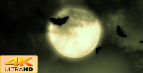 Animated Halloween Bats Flying Across Full Moon Scene