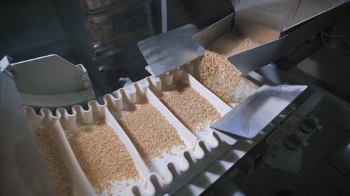 Moderne Lebensmittelindustrie. Automatische Maschine zum Verpacken von Getreide.