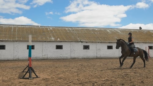 Young Woman Jumps Horse Over An Obstacle During Her Training In An Arena