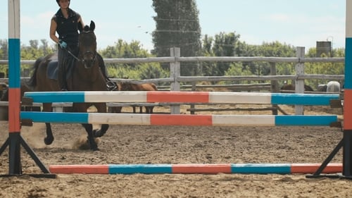 Young Woman Jumps Horse Over An Obstacle During Her Training In An Arena