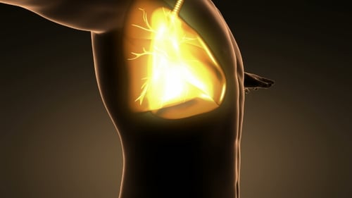 3D Animation of Glowing Human Lungs and Respiratory System