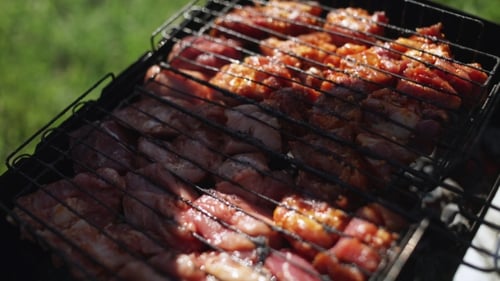 Meat Cooking on a Grill for Summer Picnic