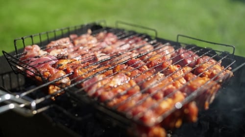 Appetizing Roasted Meat on the Coals