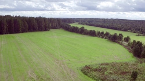 Lush Green Field Aerial View in Rural Landscape