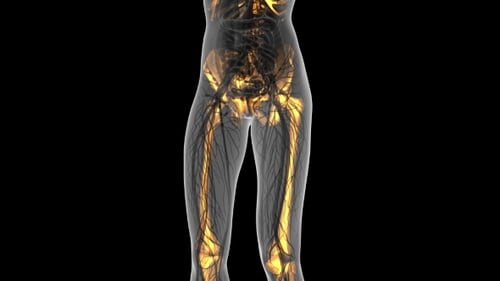 Human Body Anatomy Medical Scan with Glowing Nerve Network