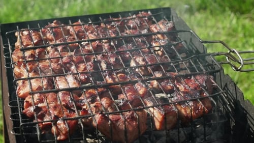 The Meat On The Grill. Meat Is Fried On Coals. Camping. BBQ