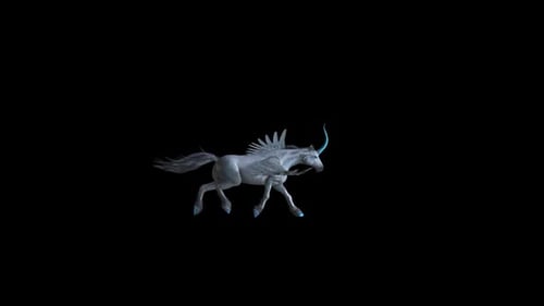 Pegasus-Lauf 1