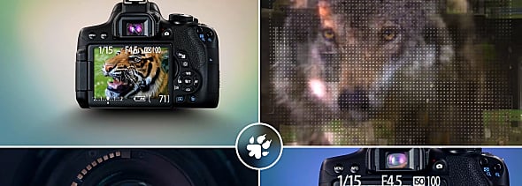 Photography Captures - Logo