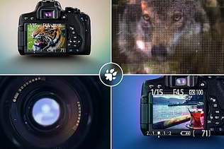 Photography Captures - Logo