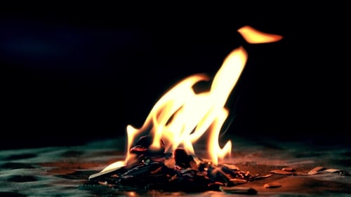 Brennende Holzspäne im Dunkeln. Kleines Feuer vor dunklem Hintergrund.
Schuss