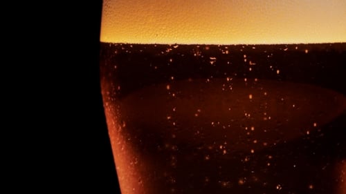 Close Up of Beer with Bubbles Rising