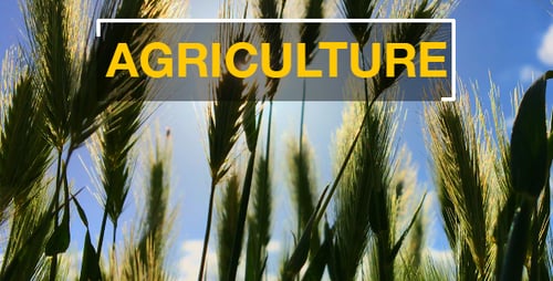 Agriculture