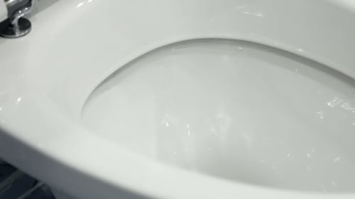 Close Up of a Clean White Bidet