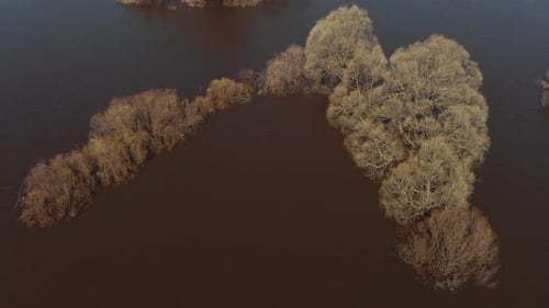Aerial View of Flooded Landscape with Islands of Trees