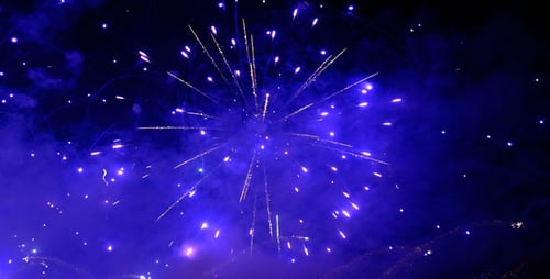 Spectacular Fireworks Bursting in the Dark Night Sky